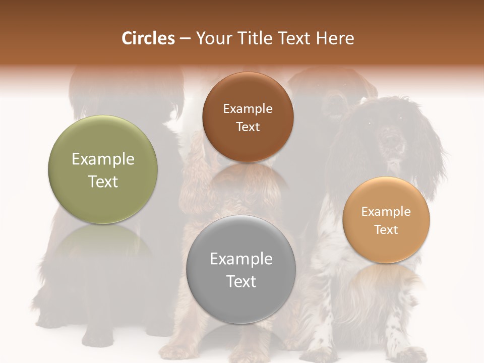 Pedigree Attentive Pedigreed PowerPoint Template