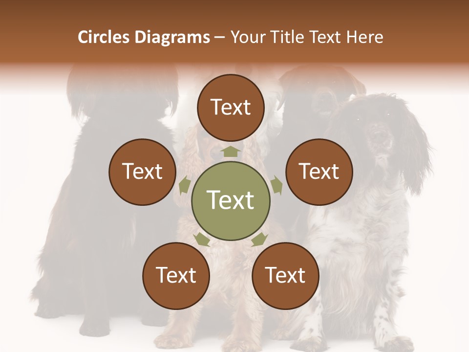 Pedigree Attentive Pedigreed PowerPoint Template