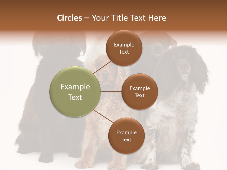 Pedigree Attentive Pedigreed PowerPoint Template