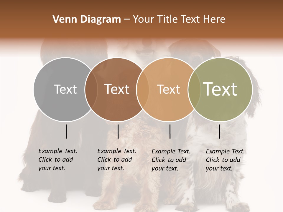 Pedigree Attentive Pedigreed PowerPoint Template