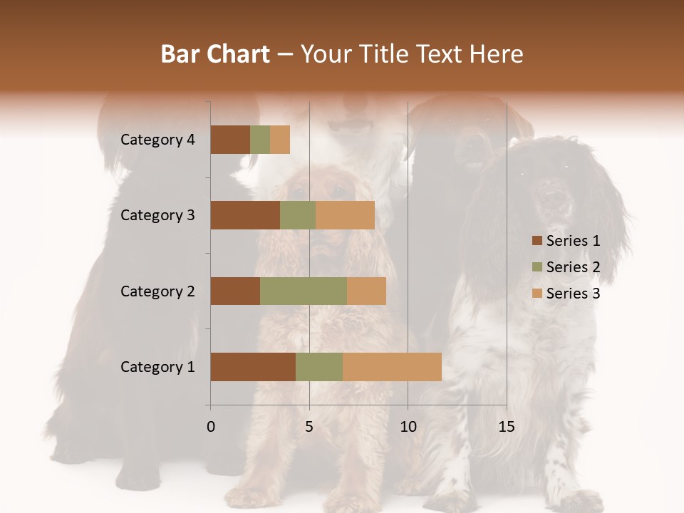 Pedigree Attentive Pedigreed PowerPoint Template