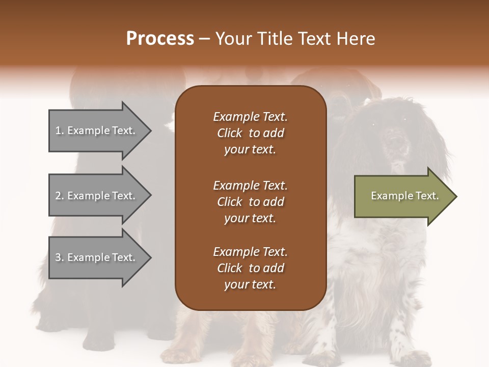 Pedigree Attentive Pedigreed PowerPoint Template