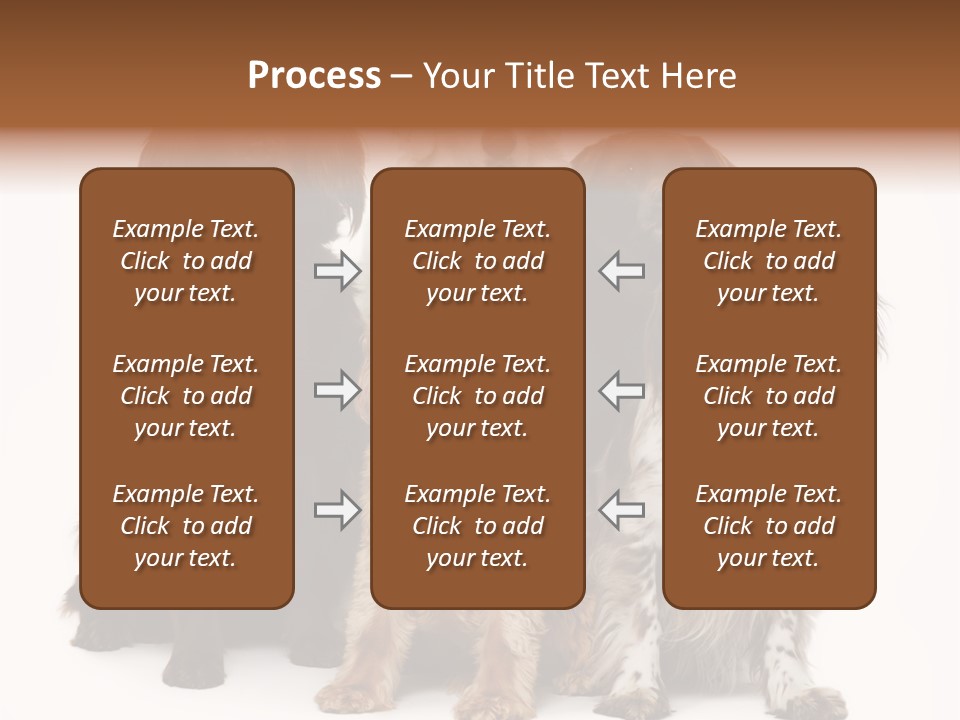 Pedigree Attentive Pedigreed PowerPoint Template
