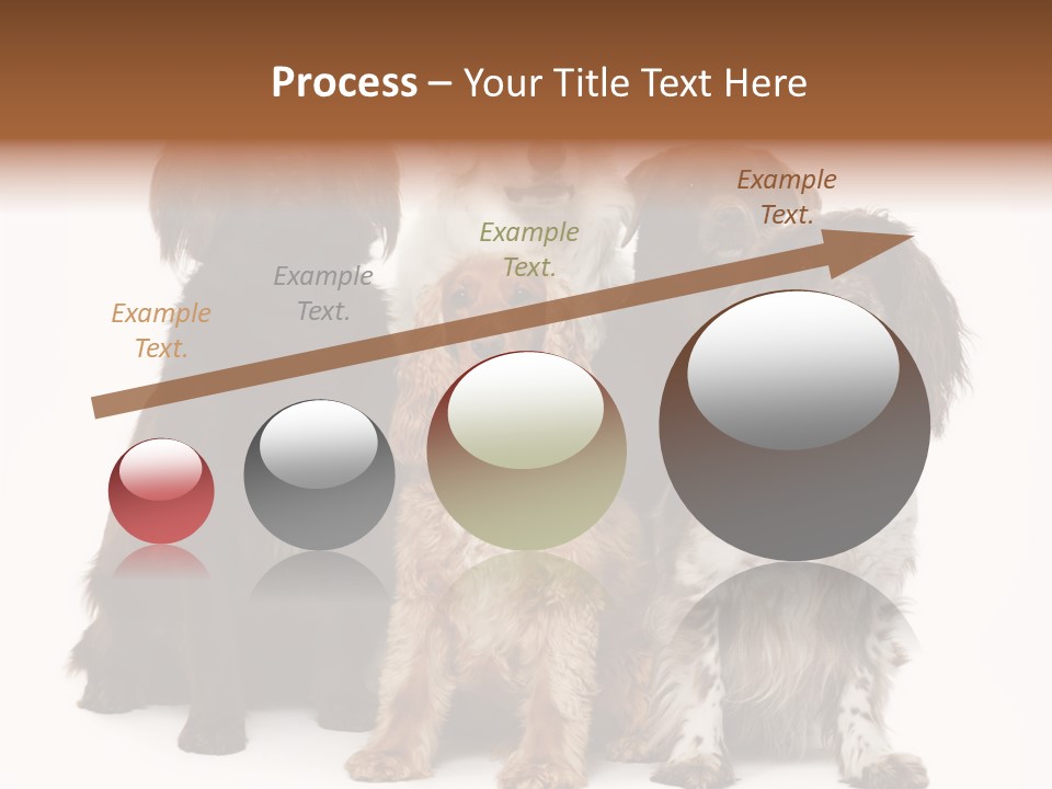 Pedigree Attentive Pedigreed PowerPoint Template