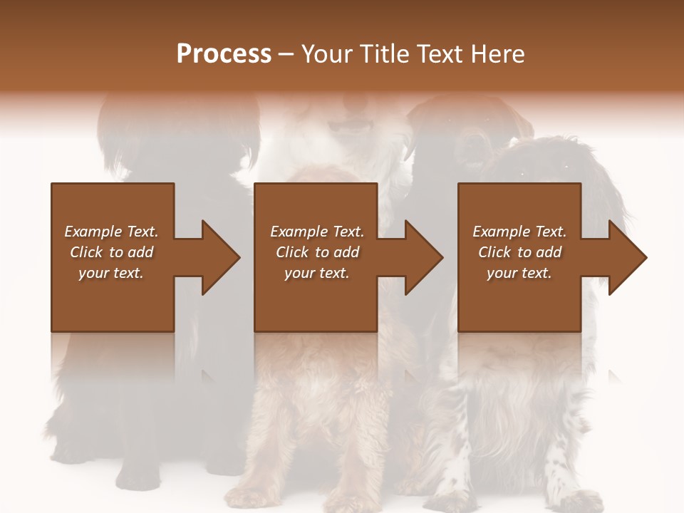 Pedigree Attentive Pedigreed PowerPoint Template
