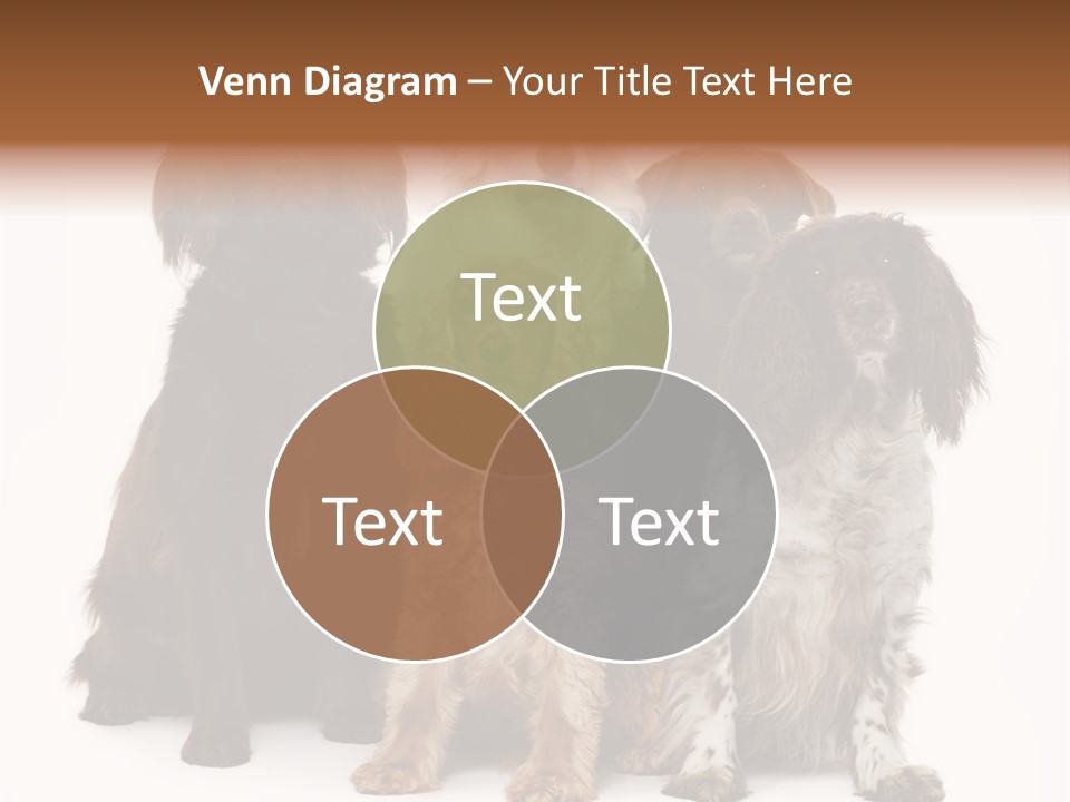 Pedigree Attentive Pedigreed PowerPoint Template