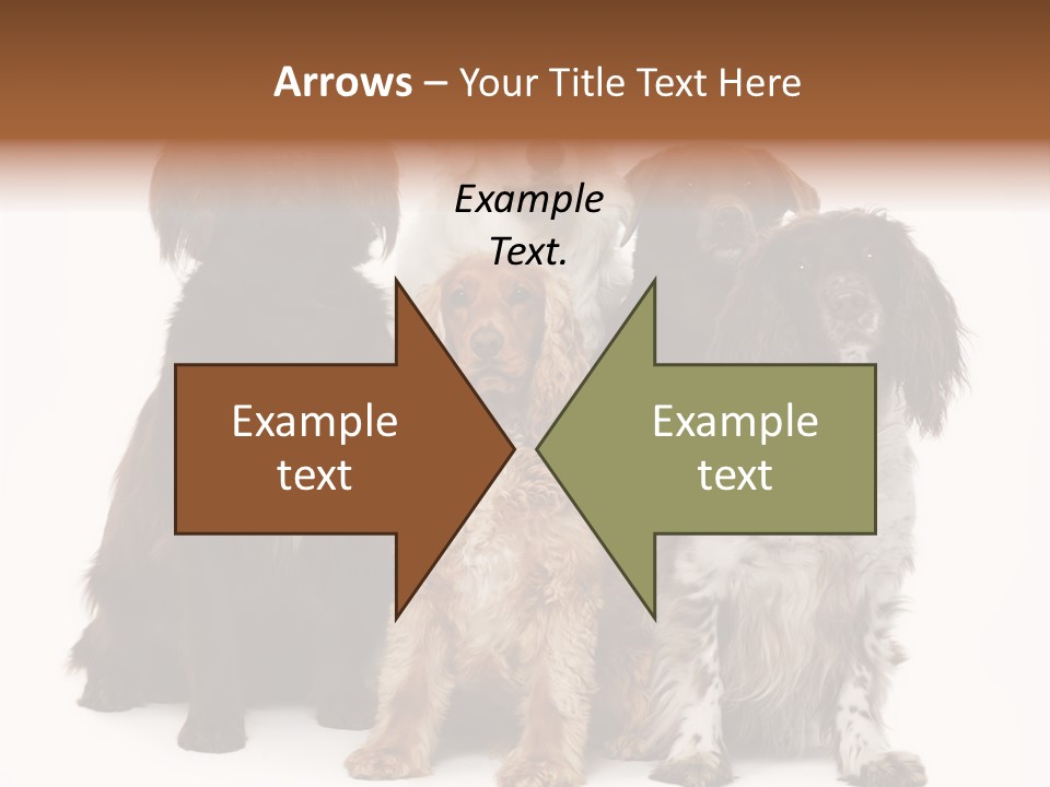 Pedigree Attentive Pedigreed PowerPoint Template