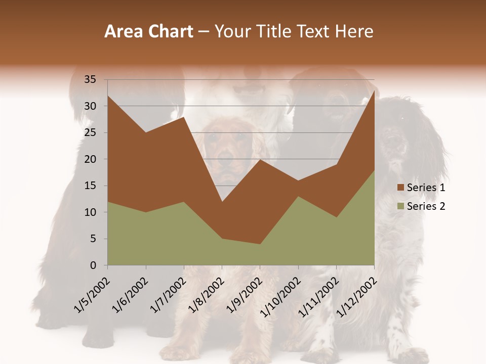 Pedigree Attentive Pedigreed PowerPoint Template
