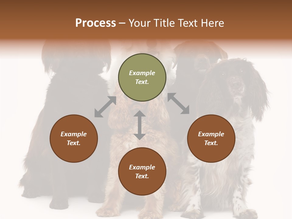 Pedigree Attentive Pedigreed PowerPoint Template