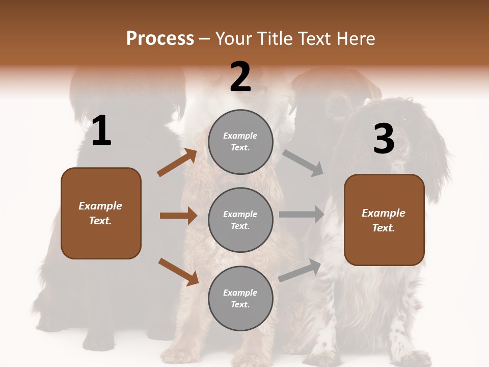 Pedigree Attentive Pedigreed PowerPoint Template