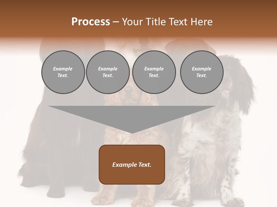 Pedigree Attentive Pedigreed PowerPoint Template