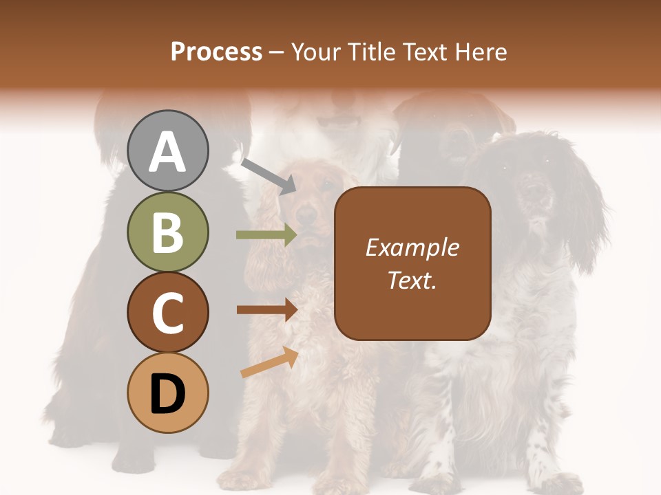 Pedigree Attentive Pedigreed PowerPoint Template
