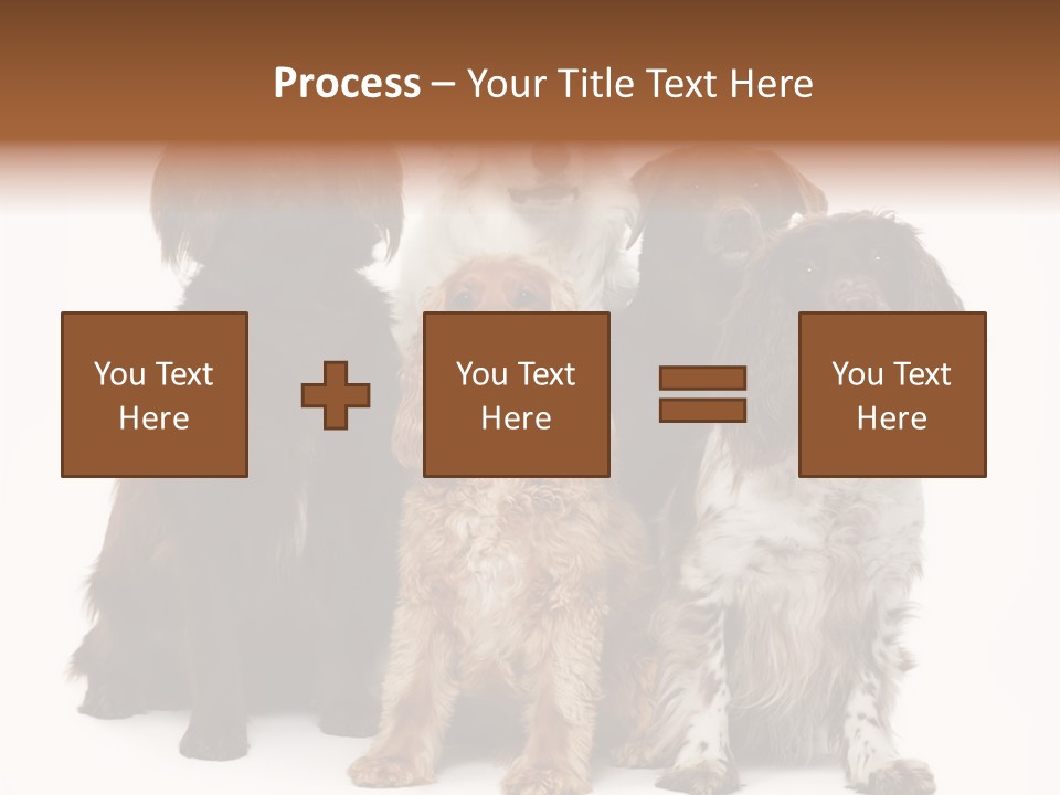 Pedigree Attentive Pedigreed PowerPoint Template