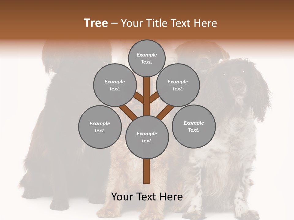 Pedigree Attentive Pedigreed PowerPoint Template