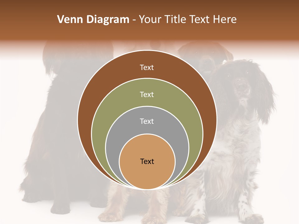 Pedigree Attentive Pedigreed PowerPoint Template