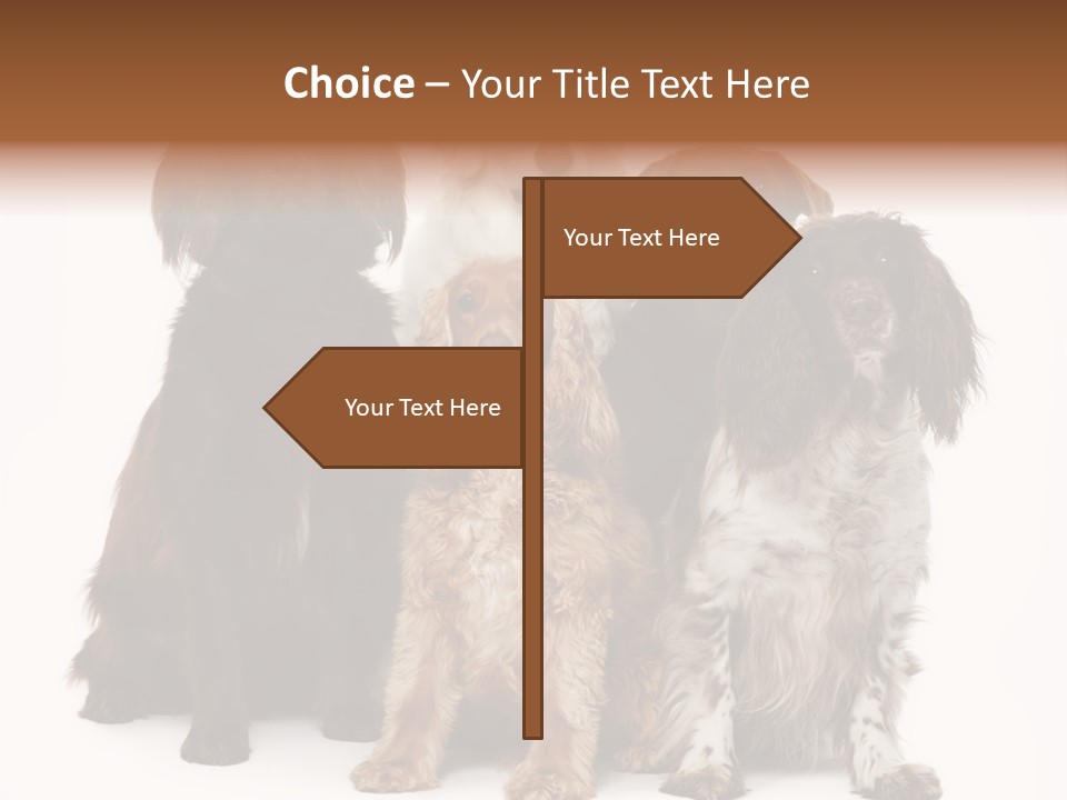 Pedigree Attentive Pedigreed PowerPoint Template