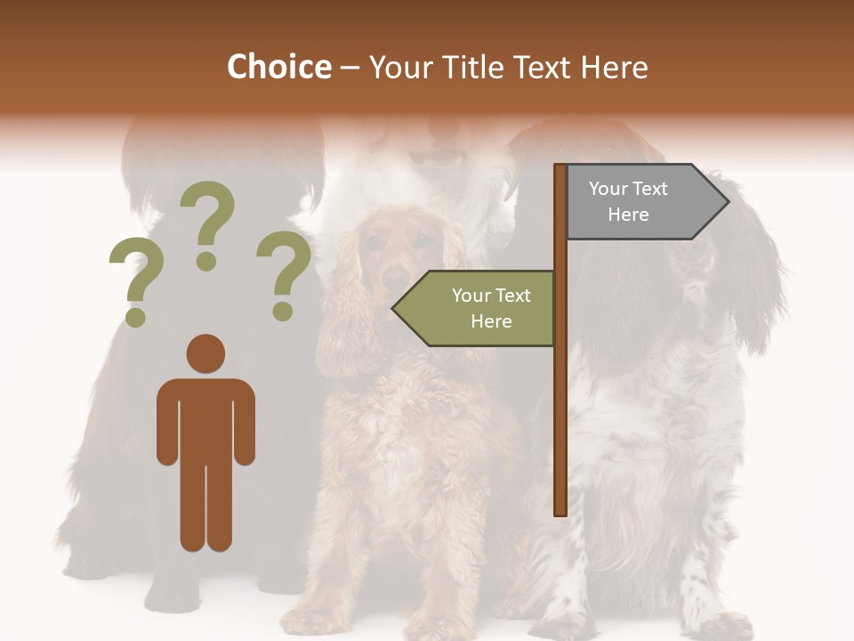 Pedigree Attentive Pedigreed PowerPoint Template