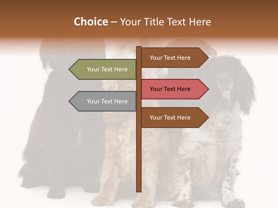 Pedigree Attentive Pedigreed PowerPoint Template