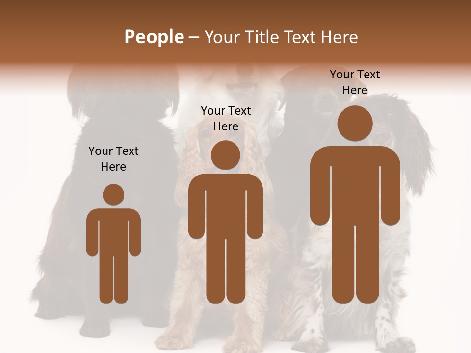 Pedigree Attentive Pedigreed PowerPoint Template