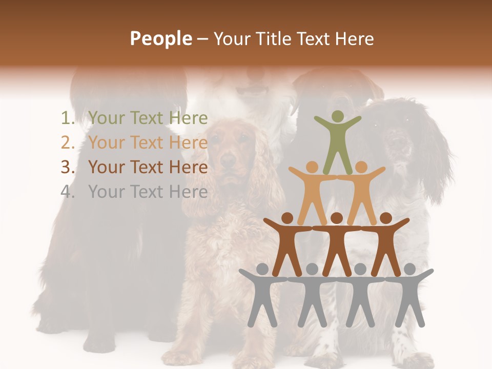 Pedigree Attentive Pedigreed PowerPoint Template