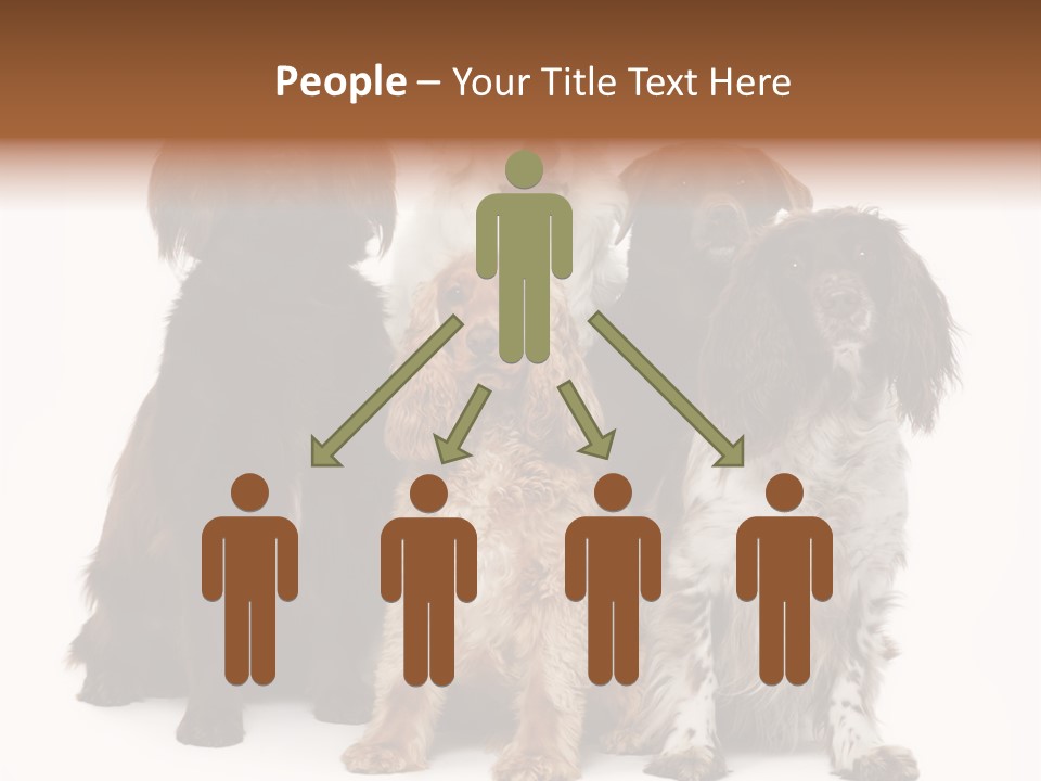 Pedigree Attentive Pedigreed PowerPoint Template