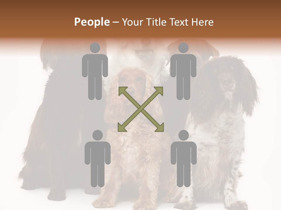 Pedigree Attentive Pedigreed PowerPoint Template