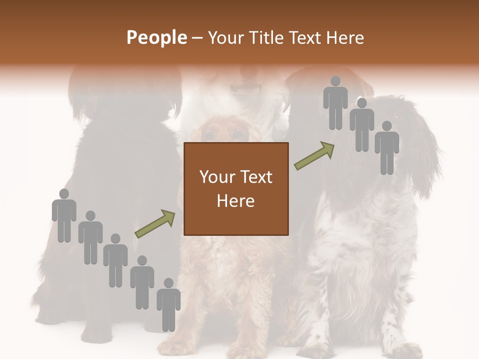 Pedigree Attentive Pedigreed PowerPoint Template