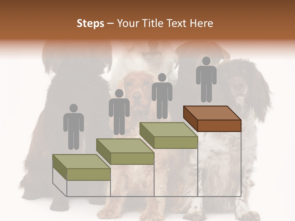 Pedigree Attentive Pedigreed PowerPoint Template