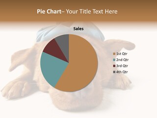 Ideas Sadness Illness PowerPoint Template