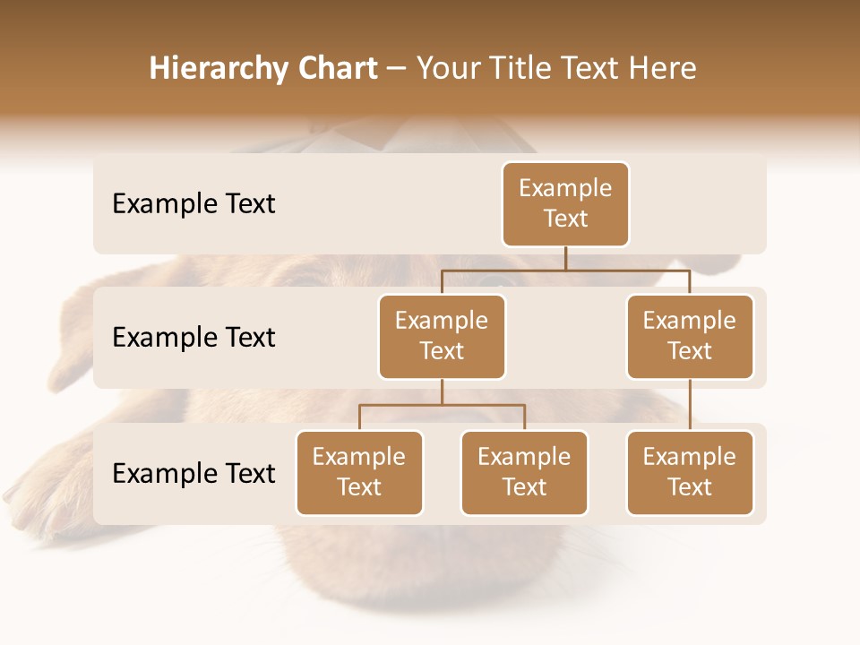 Ideas Sadness Illness PowerPoint Template