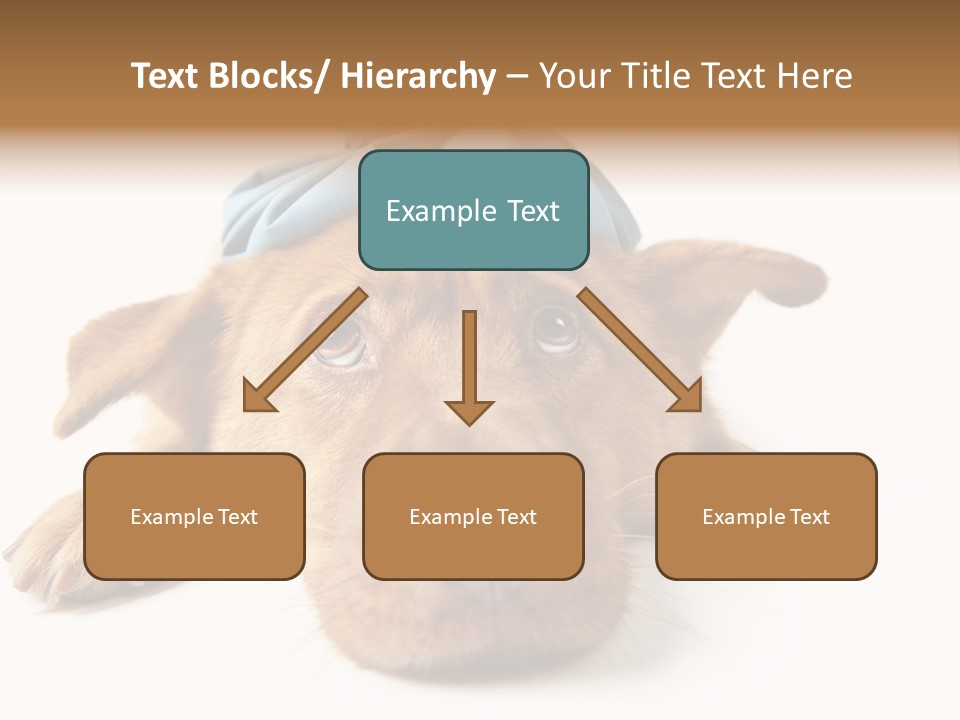 Ideas Sadness Illness PowerPoint Template
