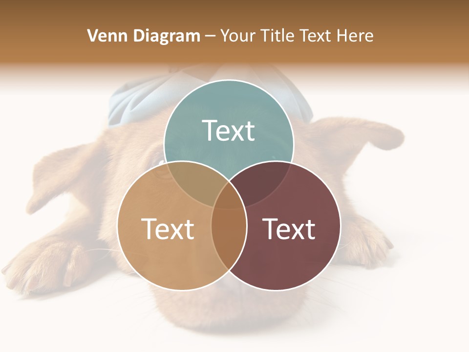 Ideas Sadness Illness PowerPoint Template