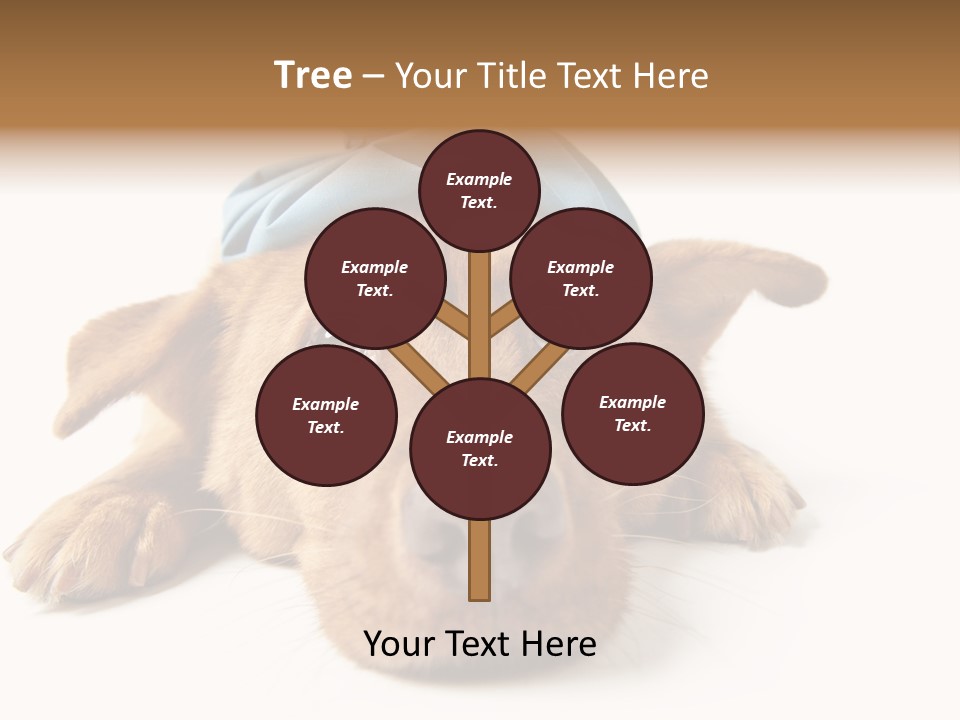 Ideas Sadness Illness PowerPoint Template