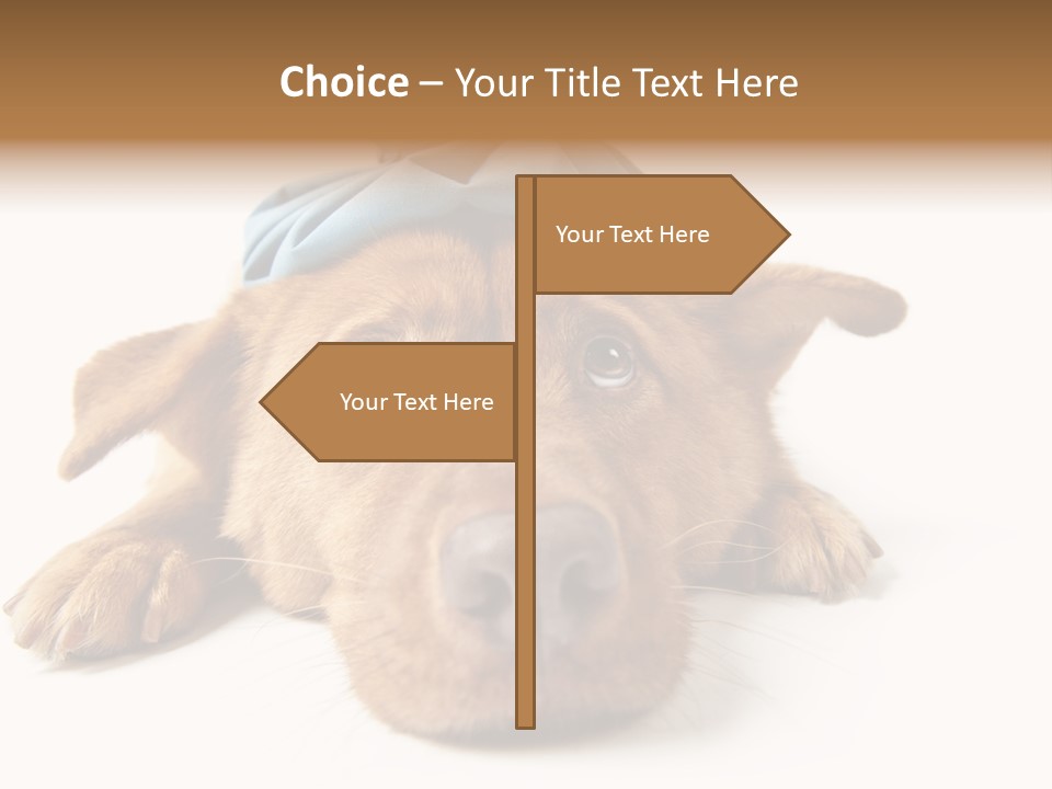 Ideas Sadness Illness PowerPoint Template