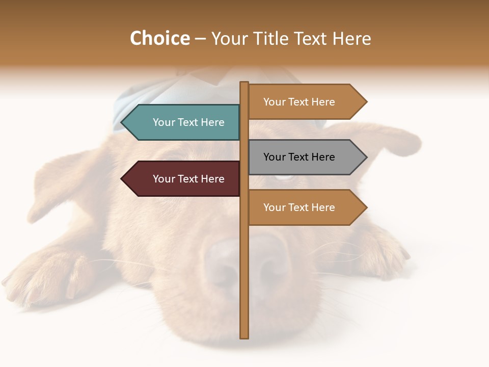 Ideas Sadness Illness PowerPoint Template