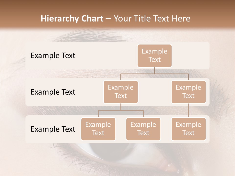 Young Skin Glamour PowerPoint Template
