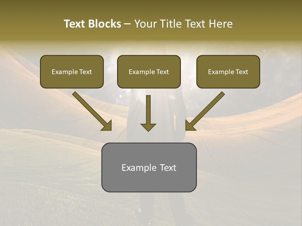 Accessibility Room White PowerPoint Template