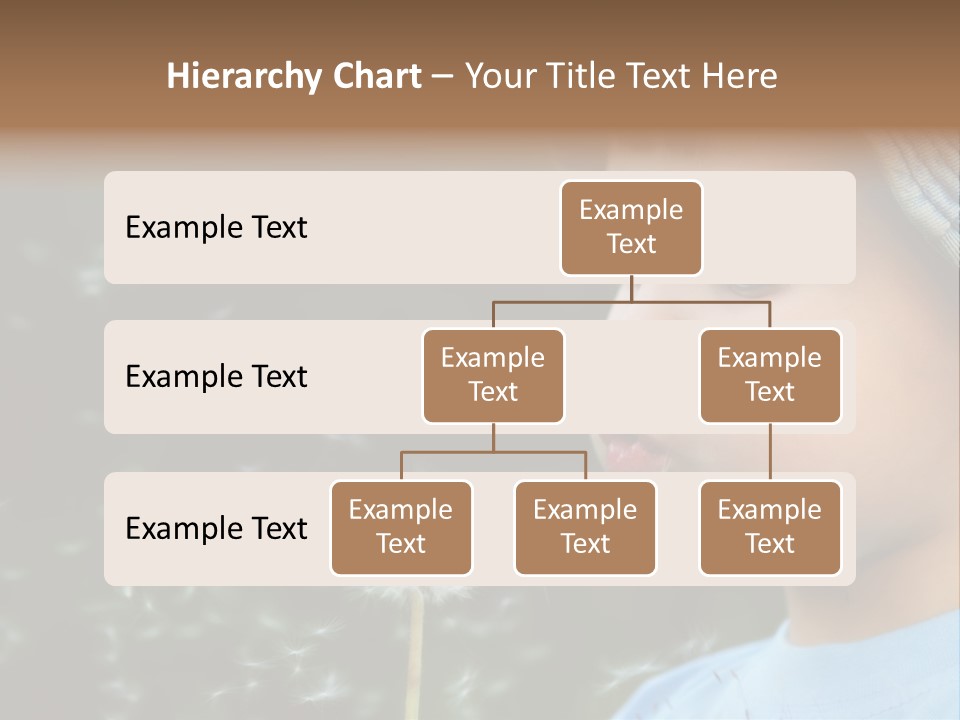Sunlight Selective Flower PowerPoint Template