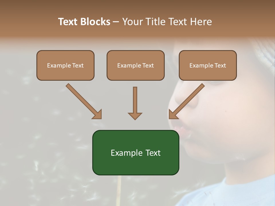 Sunlight Selective Flower PowerPoint Template
