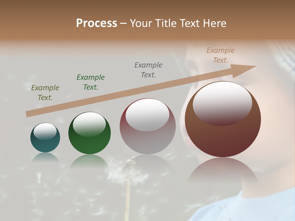 Sunlight Selective Flower PowerPoint Template