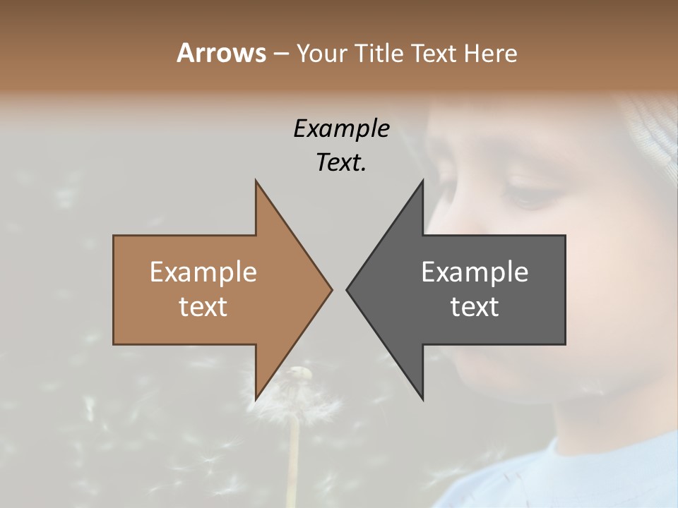 Sunlight Selective Flower PowerPoint Template