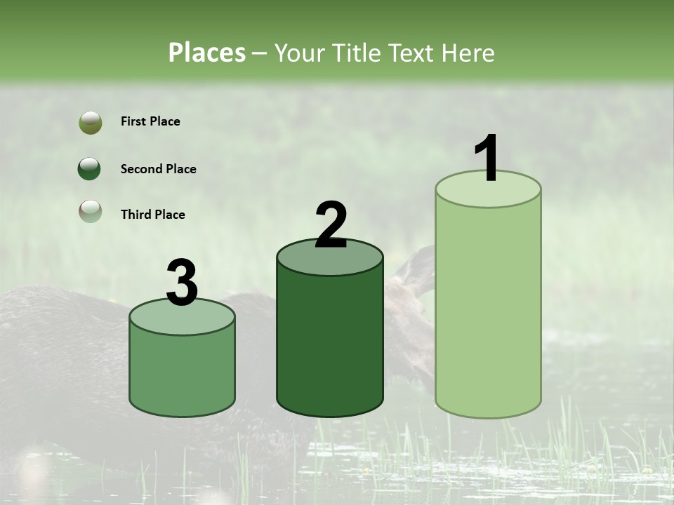 Mammal Nature Provincial PowerPoint Template