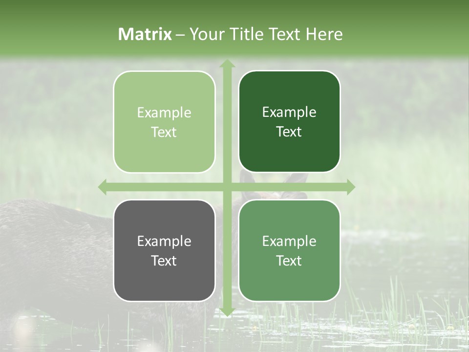 Mammal Nature Provincial PowerPoint Template