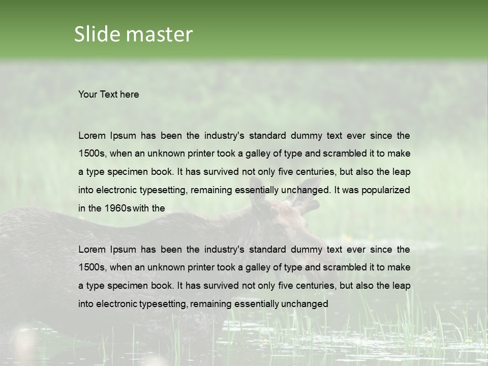 Mammal Nature Provincial PowerPoint Template