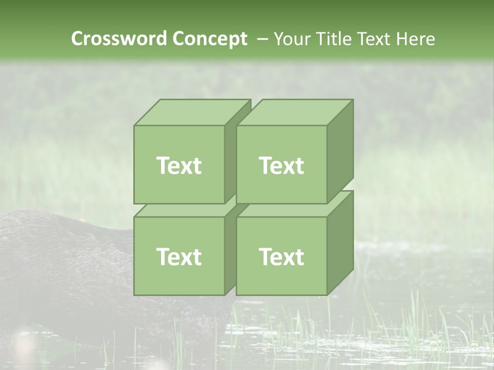 Mammal Nature Provincial PowerPoint Template