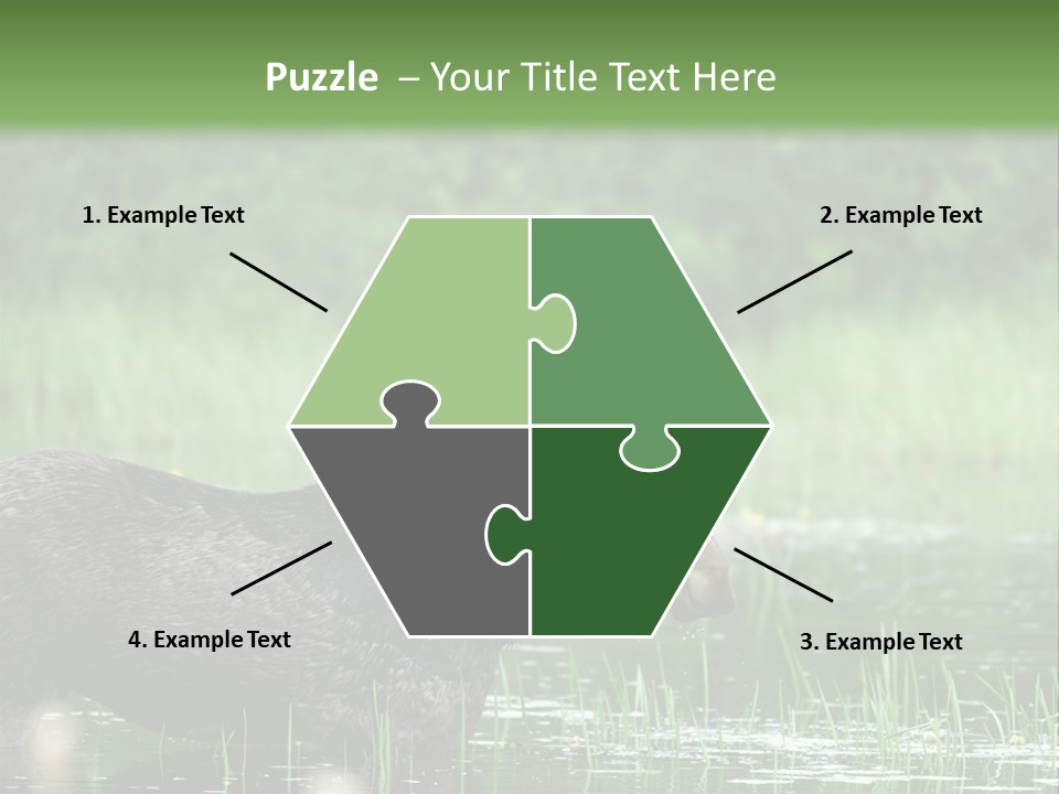 Mammal Nature Provincial PowerPoint Template
