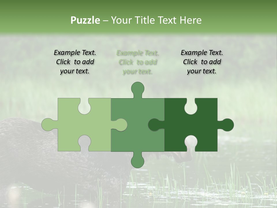 Mammal Nature Provincial PowerPoint Template