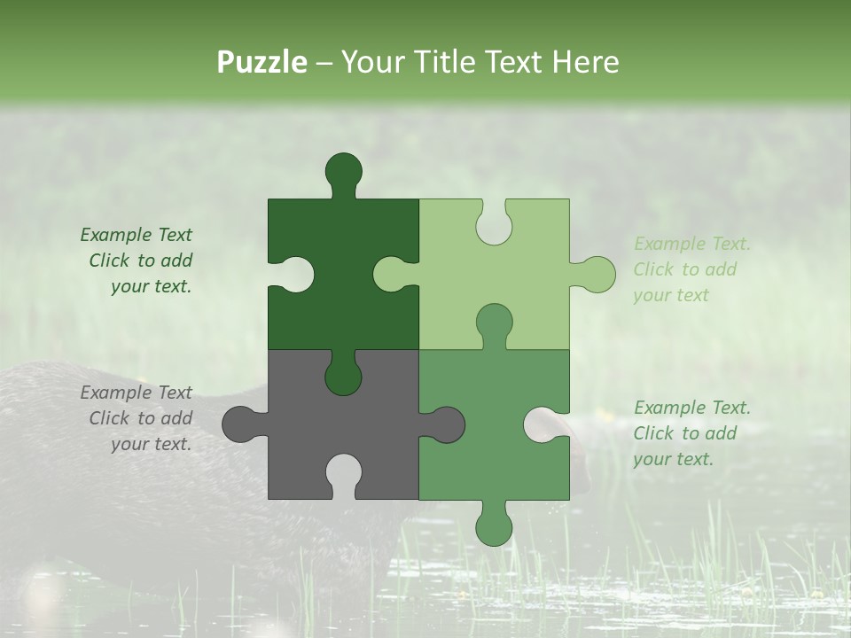 Mammal Nature Provincial PowerPoint Template