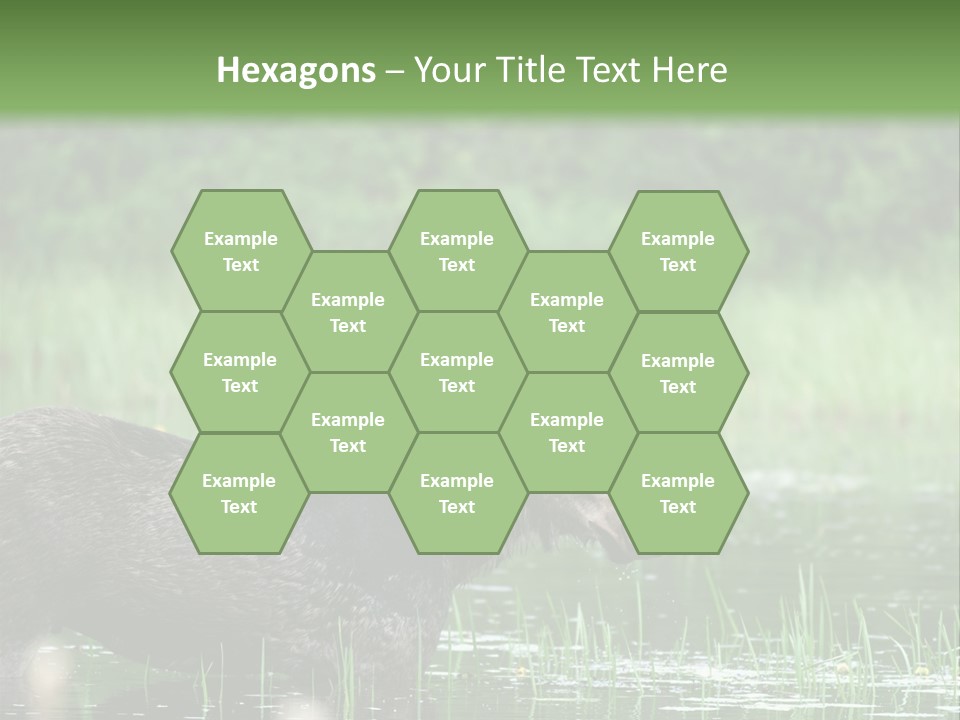 Mammal Nature Provincial PowerPoint Template