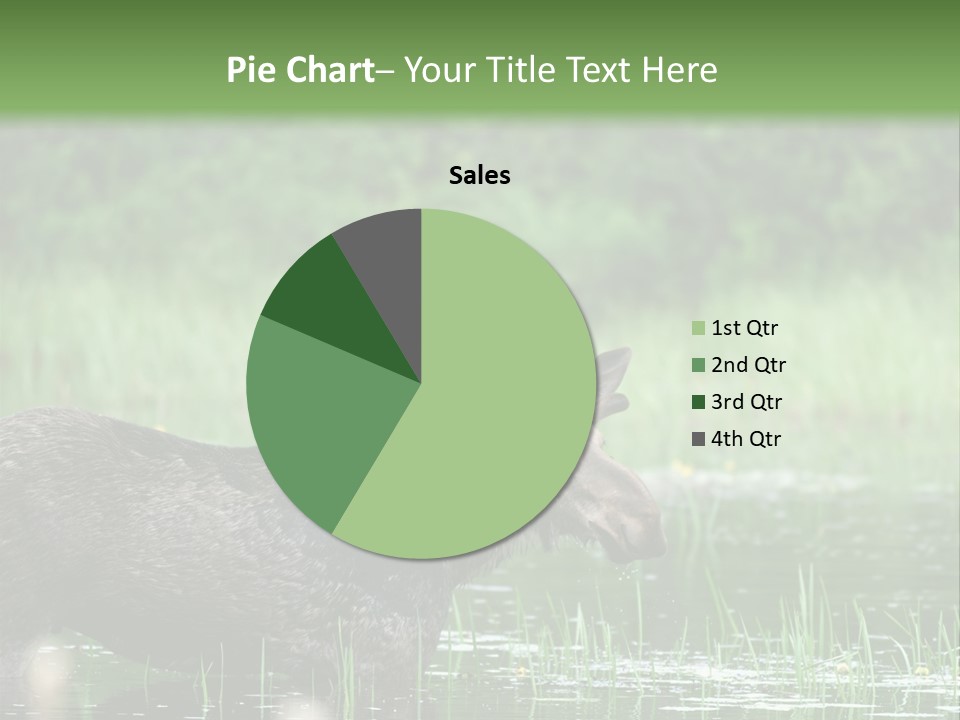 Mammal Nature Provincial PowerPoint Template